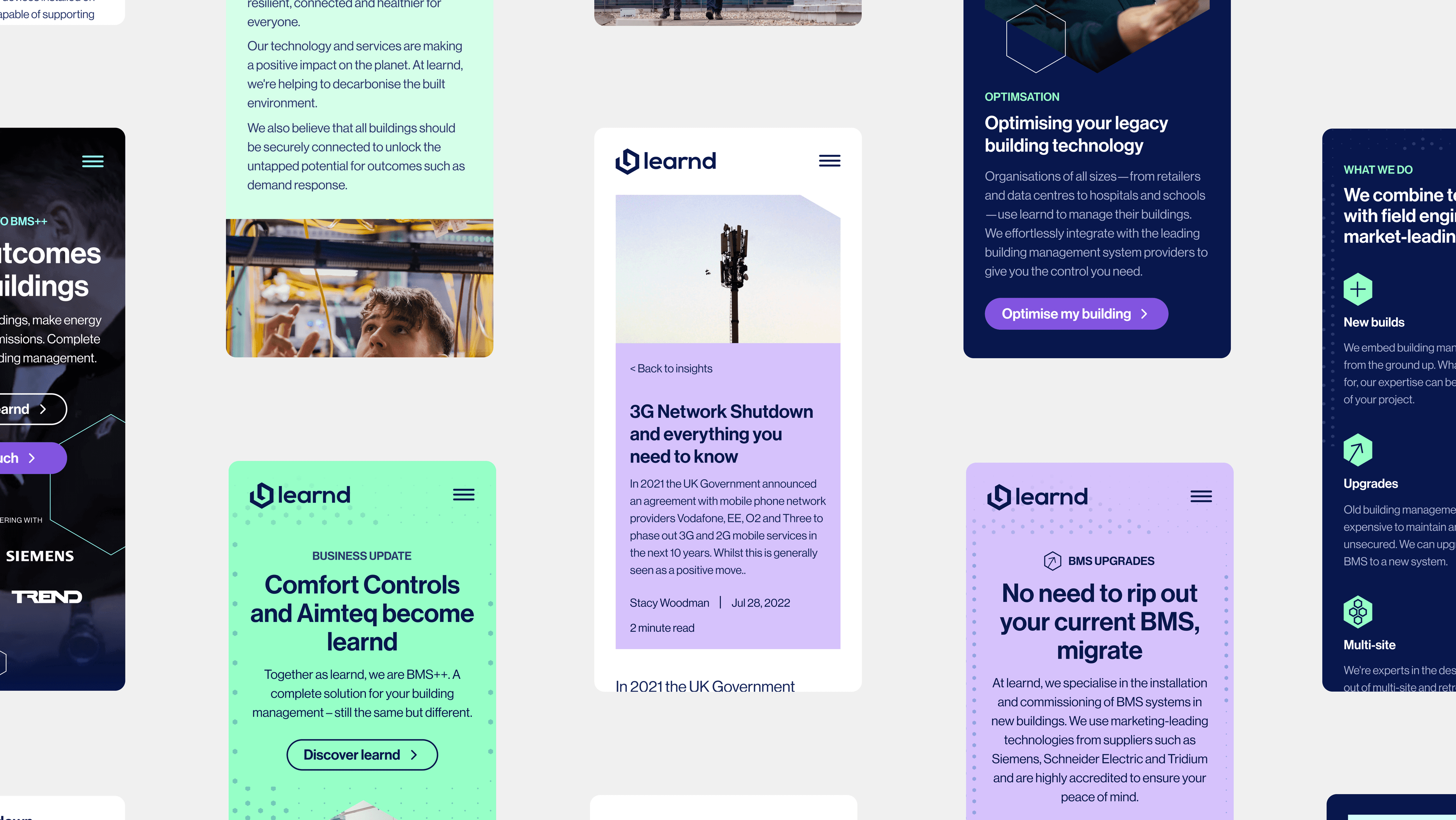 Learnd — design system assets, icon, web layouts and typography on green